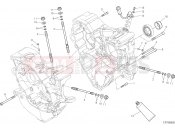 DUCATI 2021 Monster 1200 HALF-CRANKCASES PAIR [MOD:M 1200]