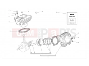 DUCATI Monster 620 CYLINDERS - PISTONS