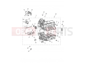 TRIUMPH Tiger 1200 Desert Crankcase & Fittings