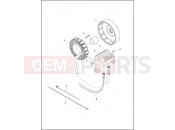 Harley-Davidson 2015 TOURING ULTRA CLASSIC LOW TWIN-COOLED  - FLHTCUL TC ALTERNATOR & REGULATOR