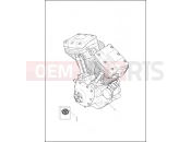 Harley-Davidson 2015 TOURING ROAD GLIDE  - FLTRX ENGINE ASSEMBLY - TWIN CAM 103â¢