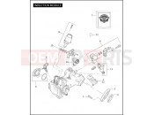 Harley-Davidson 2010 SOFTAIL CROSS BONES  - FLSTSB INDUCTION MODULE