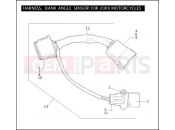 Harley-Davidson 2009 SIDECAR FLHT SIDECAR  - SIDECAR FOR FLHT HARNESS, BANK ANGLE SENSOR FOR 2009 MOTORCYCLES