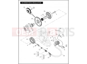 ALTERNATOR & REGULATOR - Harley-Davidson VRSCAW V-ROD - VRSCAW 2007