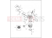 CYLINDERS, VALVES & HEADS - VÂ²â¢ EVOLUTION - Harley-Davidson CVO DYNA SUPER GLIDE - FXR2 1999