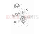 Triumph 2023 Speed Twin 900 Rear wheel