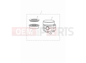 Triumph 2023 Speed Twin 900 Front reservoir kit
