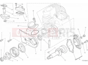 DUCATI Scrambler Icon HEAD HORIZONTAL - DISTRIBUTION