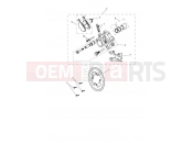 Triumph 2020 Tiger 800 XRT Rear Brake & Disc