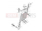 Triumph 2015 SCRAMBLER EFI Oil Cooler