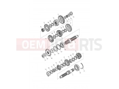 Triumph 2015 SCRAMBLER EFI Transmission