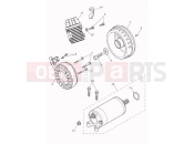 TRIUMPH STREET SCRAMBLER Alternator & Starter Motor