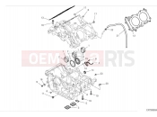 DUCATI Diavel V4 Crankcase (2)