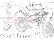 DUCATI DesertX Rally Vehicle electric system