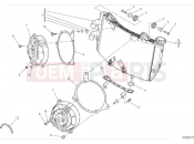 DUCATI 2024 DesertX Water cooler
