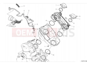 Throttle body - Ducati Hypermotard 950 SP 2024