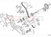 DUCATI Monster Plus Timing system