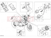 DUCATI Monster SP Electrical devices (1)