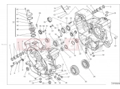 DUCATI 2024 Scrambler Icon Crankcase (1)