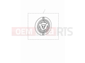Triumph 2024 Speed Twin 900 Clutch badge