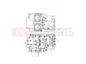 TRIUMPH THUNDERBIRD STORM Crankcase Bolts