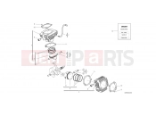 DUCATI 2018 Scrambler 1100 Special CYLINDERS - PISTONS