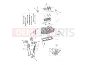 Triumph 2023 Speed Twin 1200 Cylinder Head & Valves
