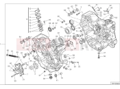 DUCATI 2025 Desert X Crankcase