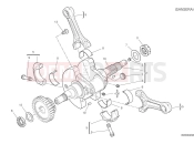 DUCATI 2025 Desert X Discovery Crankshaft