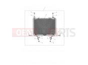 TRIUMPH Speed Triple RS Radiator Guard Kit