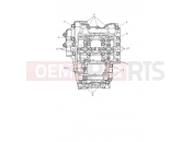 TRIUMPH Daytona 660 Crankcase Bolts