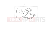 TRIUMPH Speed Twin 1200 Engine Service Kit