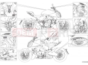 DUCATI 2025 Diavel V4 Positioning plates