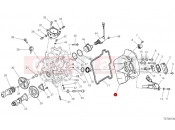 Horizontal head timing system - Ducati Streetfighter V2 2025