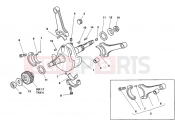 DUCATI 1994 Superbike 916 Senna CRANKSHAFT » ENGINE CASE