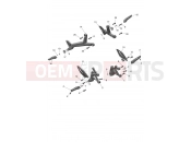 Foot Controls - Triumph DAYTONA 660cc > CM3406 2025