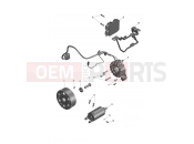 Starter & Alternator - Triumph Tiger Sport 800 2025