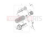 Clutch - Triumph Tiger Sport 800 2025