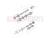 Transmission - Triumph Tiger Sport 800 2025