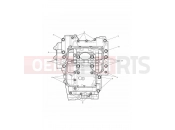 TRIUMPH Trident 800 Crankcase Bolts