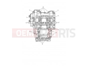 TRIUMPH Trident 660 Crankcase Bolts