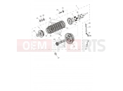 Triumph 2025 SPEED TWIN RS 1200 Clutch
