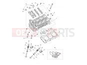 TRIUMPH Tiger 1200 GT Pro Cylinder Head & Valves