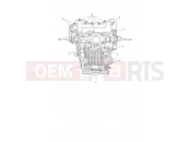 TRIUMPH Tiger 1200 GT Pro Crankcase Bolts