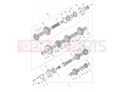 Triumph 2025 TRIDENT 660cc CB1390 > CN4039 Transmission