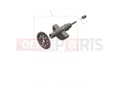 Triumph 2025 SCRAMBLER 400 XC Balancer