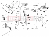 MOTOGUZZI V85 TT (EU) Front electrical system