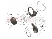 Engine Covers - Triumph TF250-E 2026