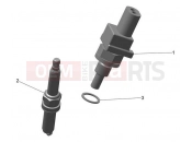 Engine Management System - Triumph TF250-E 2026