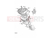 1 - CYLINDER - Suzuki TS250ER T (1996)